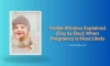 Fertile Window Explained (Day by Day): When Pregnancy Is Most Likely