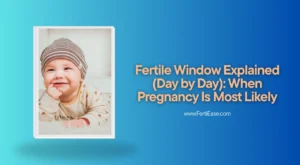 Fertile Window Explained (Day by Day): When Pregnancy Is Most Likely