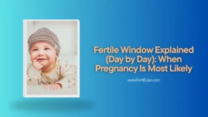 Fertile Window Explained (Day by Day): When Pregnancy Is Most Likely