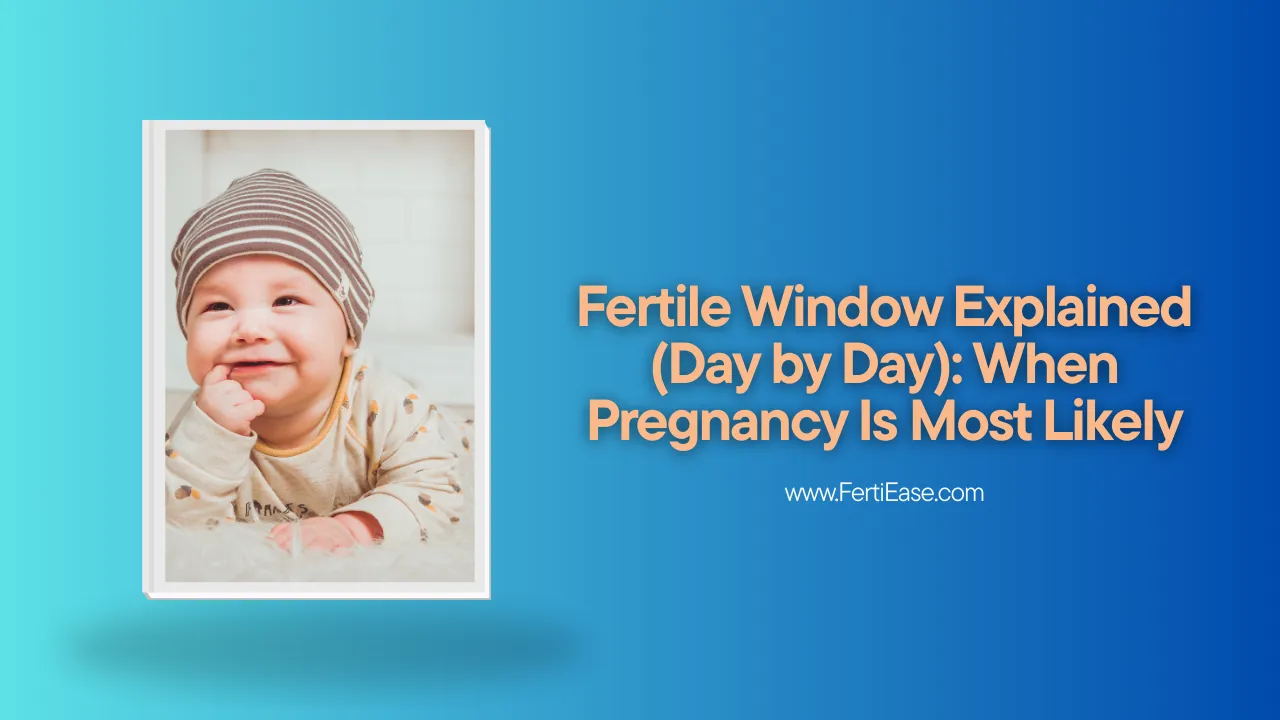 Fertile Window Explained Day By Day When Pregnancy Is Most Likely Fertiease