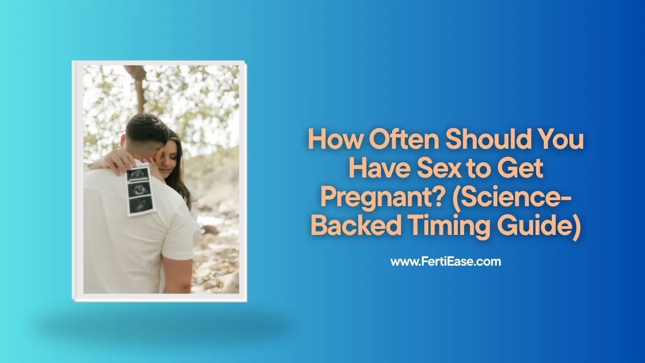 How Often Should You Have Sex To Get Pregnant Science Backed Timing Guide Fertiease