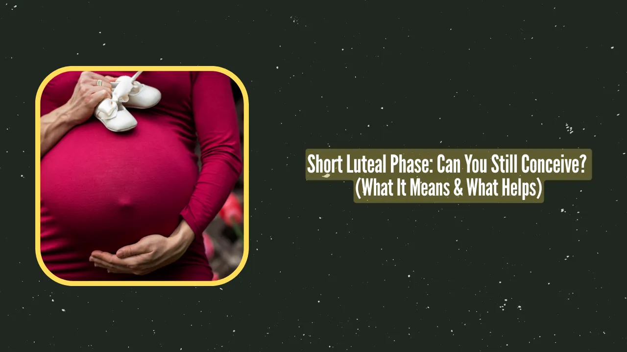Short Luteal Phase Can You Still Conceive What It Means What Helps Fertiease